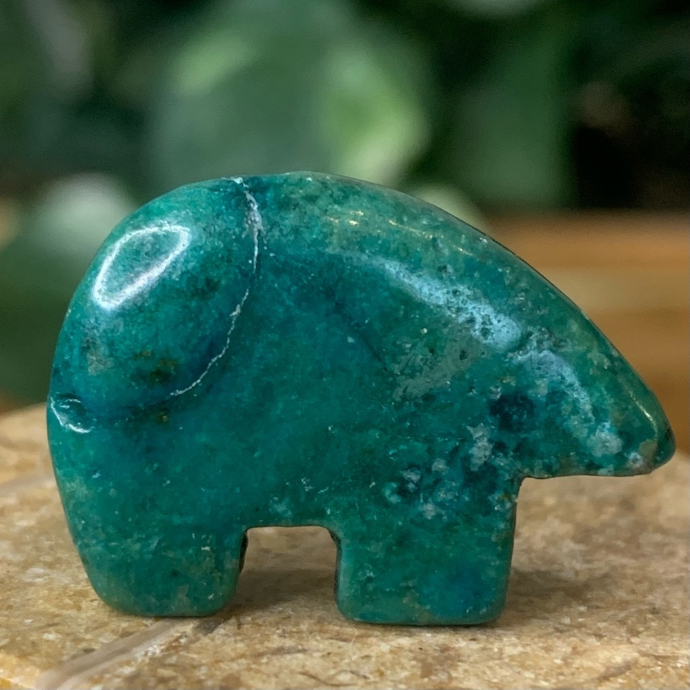 Chrysocolla Bear Fetish Bead Native American Zuni Style Top Drilled Animal 1”